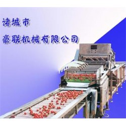 供應(yīng)胡蘿卜清洗機、白蘿卜清洗機