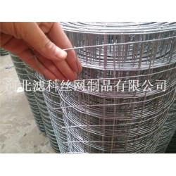 全球領(lǐng)導(dǎo)品牌¤廠家濾科供應(yīng)優(yōu)質(zhì)不銹鋼鋼筋電焊網(wǎng)，價(jià)格也不
