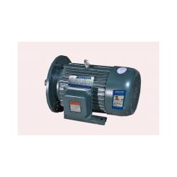 三相異步電機(jī) 三相異步電機(jī)代理 三相異步電機(jī)
