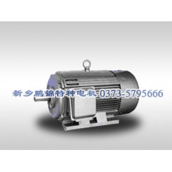 安徽YVF變頻電機(jī)_熱薦優(yōu)質(zhì)變頻調(diào)速三相異步電動機(jī)品質(zhì)*保*