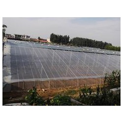 熱賣水晶PO膜市場價(jià)格|煙臺PO膜
