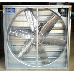 鵬鑫，棒棒噠！【西安重錘風機】【青州農牧風機行情】【河北推拉風機】