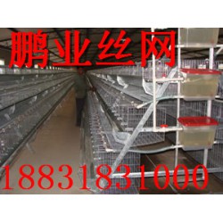 河南鄭州蛋雞籠——河北優(yōu)質養(yǎng)殖蛋雞籠價格