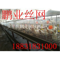 優(yōu)質鐵絲肉雞籠廠家在衡水：中國肉雞籠