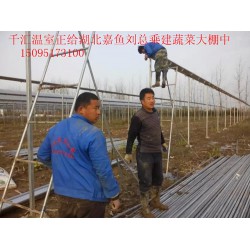 濰坊可靠的蔬菜大棚建造公司，當(dāng)屬千匯溫室，蔬菜大棚建造