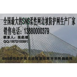 遂寧被動(dòng)網(wǎng)，新款被動(dòng)防護(hù)網(wǎng)成都有售