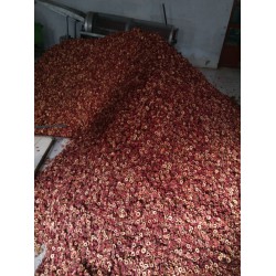 鼎豐機械供應(yīng)質(zhì)量較好的山楂去核切片機_切片機