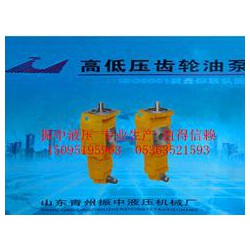 推土機(jī)齒輪油泵價格_優(yōu)質(zhì)雙聯(lián)齒輪油泵供應(yīng)