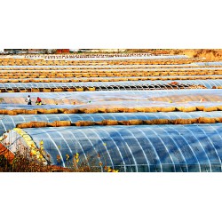 實(shí)惠的灌漿膜哪里有，灌漿膜