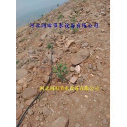 絳縣果樹滴灌PE管|小管出流、網式過濾器|配套促銷
