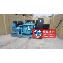 專(zhuān)業(yè)的濰柴動(dòng)力博杜安發(fā)電機(jī)組廠家推*——好的濰柴動(dòng)力