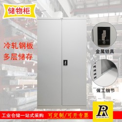 揚(yáng)州重型置物柜雙開(kāi)門可調(diào)節(jié)空間儲(chǔ)物柜工具量具柜