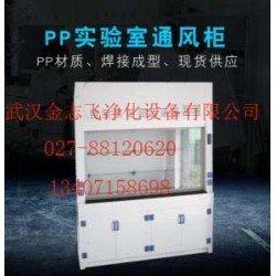 廠家供應(yīng)PP通風柜全鋼通風柜