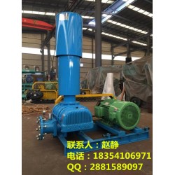 【 污水曝氣風(fēng)機、污水曝氣鼓風(fēng)機選型、北京曝氣鼓風(fēng)機廠家】