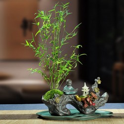 武漢辦公室盆栽室內(nèi)盆景公司花卉，武漢室外苗木商場綠植工廠盆栽
