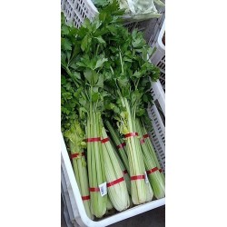 蔬菜捆扎機(jī)，小型扎把機(jī)，蒜苔捆扎，蒜苔束帶，昆勁小型捆扎機(jī)