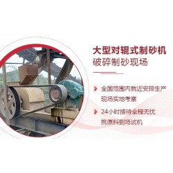 對(duì)輥式破碎機(jī)品牌廠家哪里有？（推*這家）ds0xs