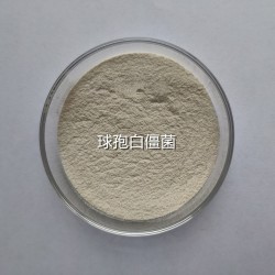 白僵菌病原真菌廣譜殺蟲劑生產(chǎn)廠家供應商