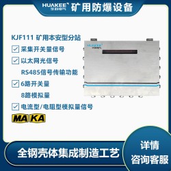 KJF111礦用本安型分站 適用于采區(qū)工作面和皮帶運輸?shù)仍O(shè)備